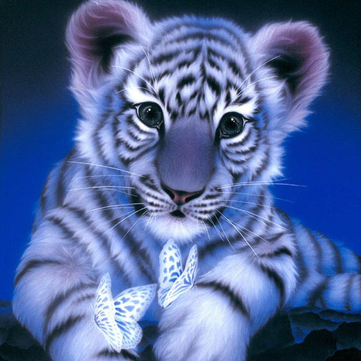 Tiger Cub Butterflies