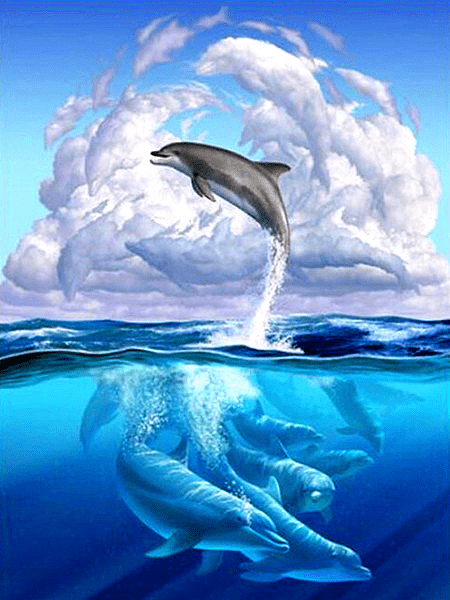 Above & Below