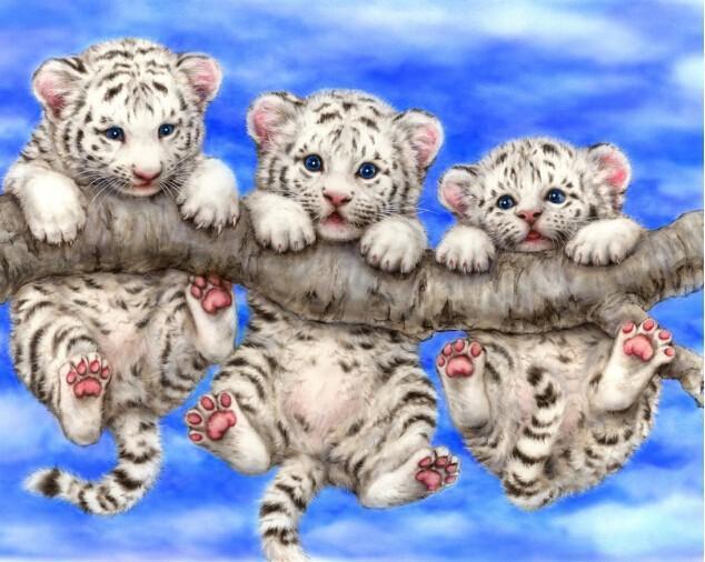 Cubs on a Branch