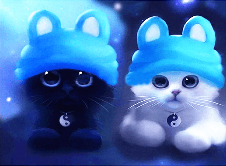 Yin Yang Kittens
