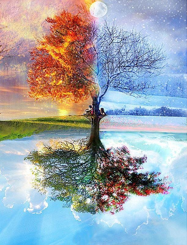 Four Seasons Tree