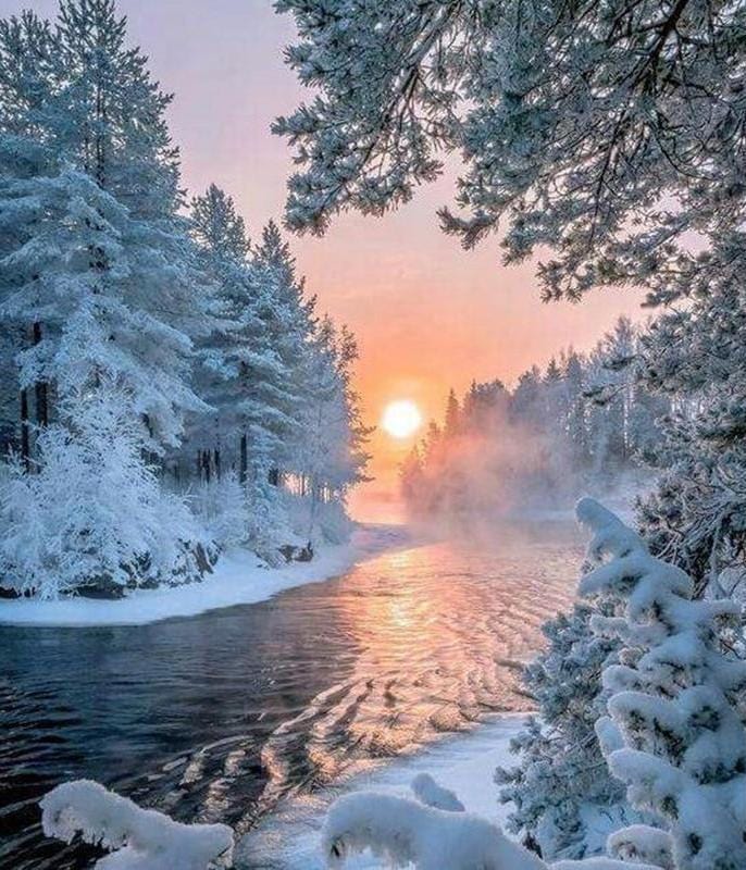 Winter Wonderland