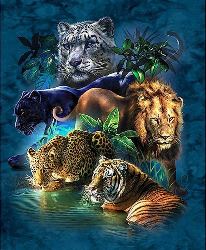 Cats In The Wild