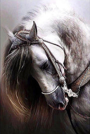 Noble Horse