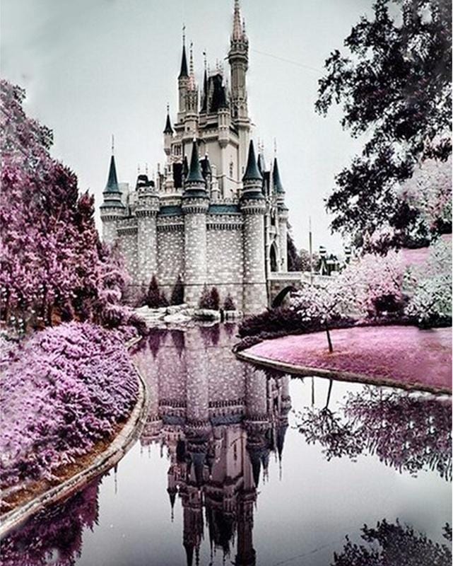 Disney Castle