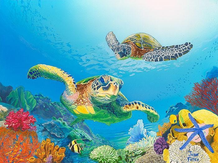 Turtles Swim