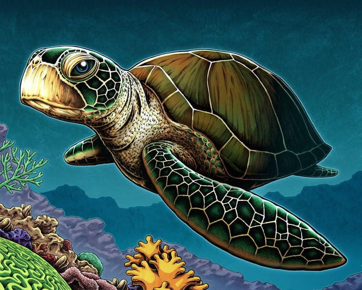 Turtle Masterpiece